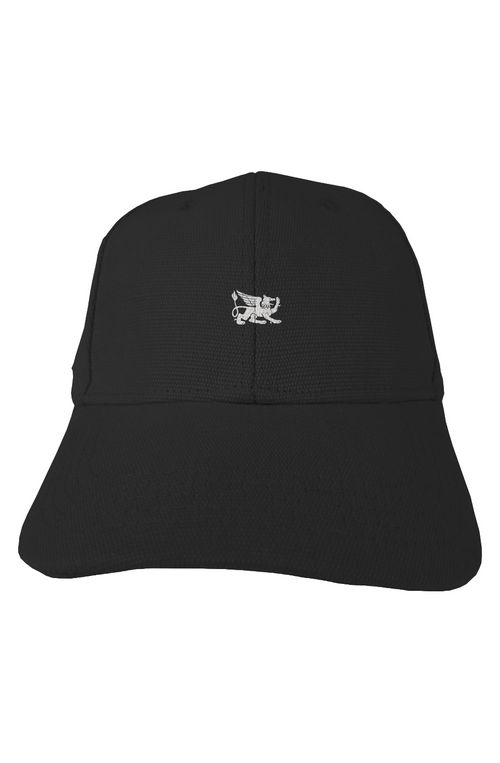 hemp baseball cap