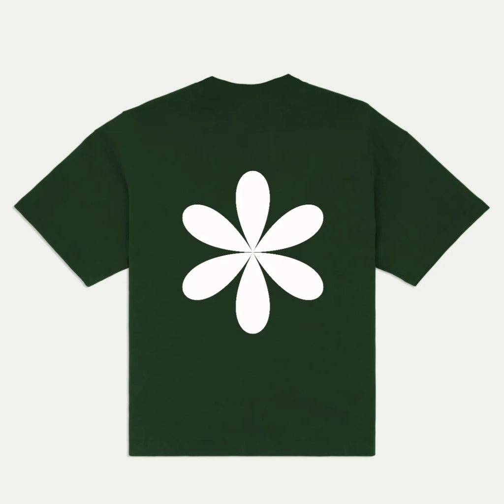 Back_Green_1783255569126.webp