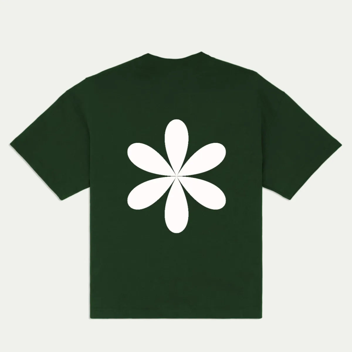Back_Green_1783255569126.webp